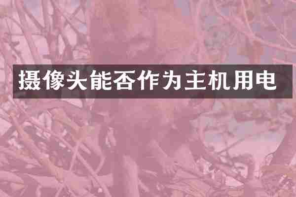 摄像头能否作为主机用电