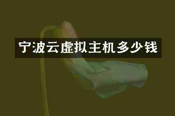 宁波云虚拟主机多少钱