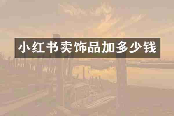 小红书卖饰品加多少钱