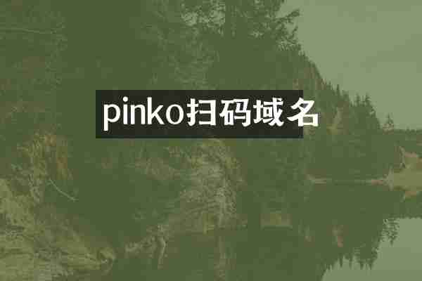 pinko扫码域名