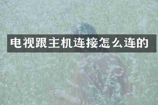 电视跟主机连接怎么连的