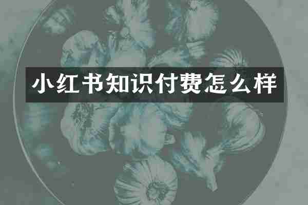 小红书知识付费怎么样