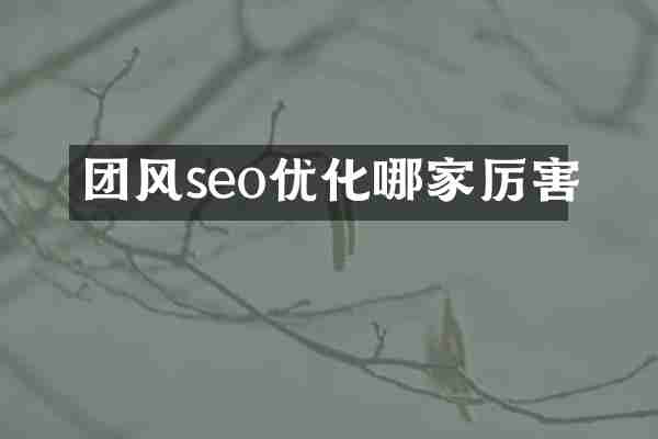 团风seo优化哪家厉害