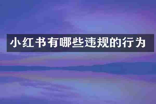 小红书有哪些违规的行为