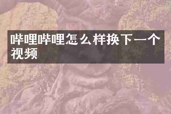 哔哩哔哩怎么样换下一个视频