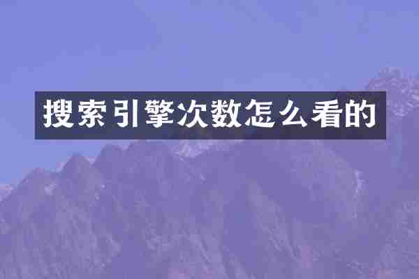 搜索引擎次数怎么看的