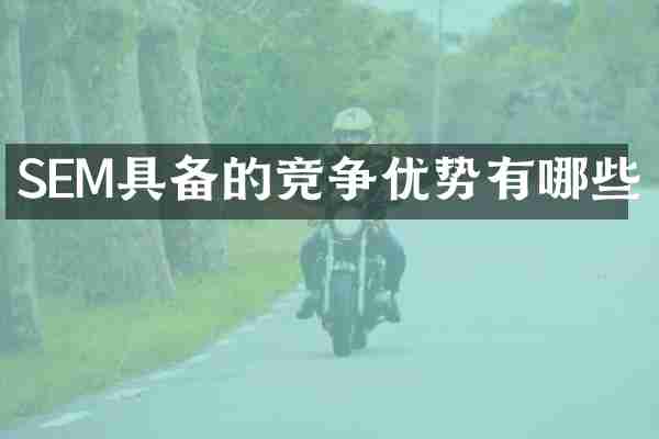 SEM具备的竞争优势有哪些