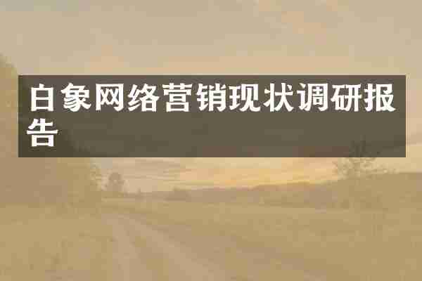 白象网络营销现状调研报告