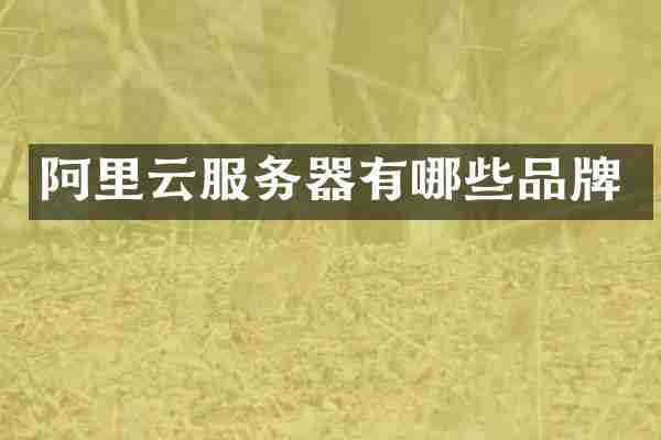 阿里云服务器有哪些品牌