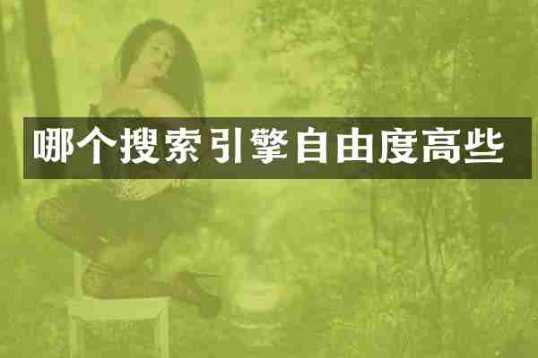 哪个搜索引擎自由度高些