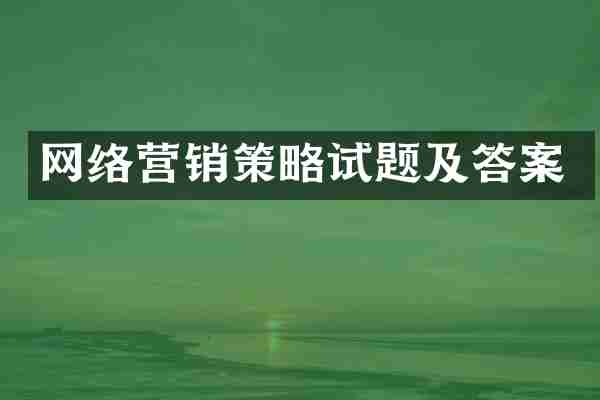 网络营销策略试题及答案