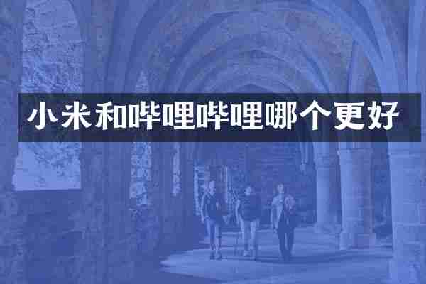 小米和哔哩哔哩哪个更好