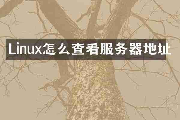 Linux怎么查看服务器地址
