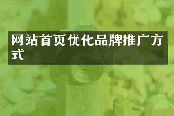 网站首页优化品牌推广方式