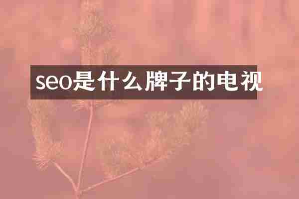 seo是什么牌子的电视