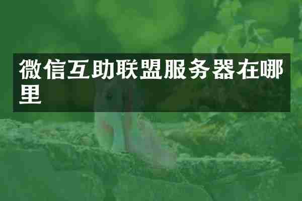 微信互助联盟服务器在哪里