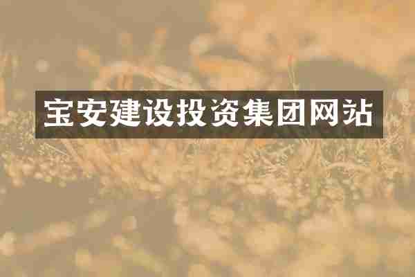 宝安建设投资集团网站