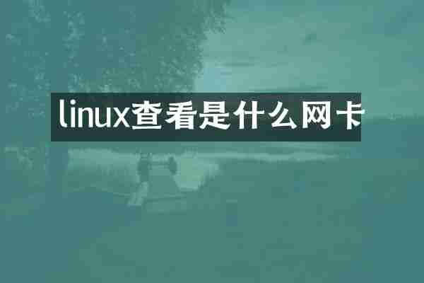 linux查看是什么网卡