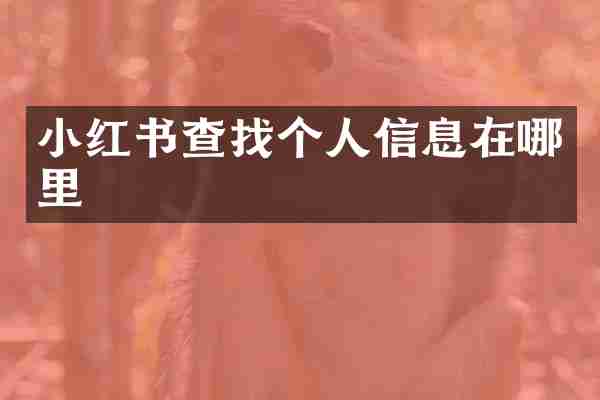 小红书查找个人信息在哪里