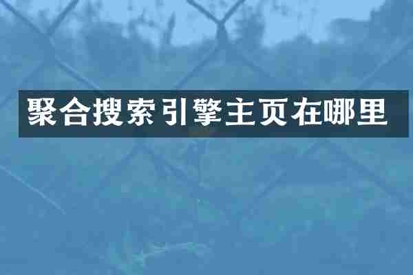 聚合搜索引擎主页在哪里