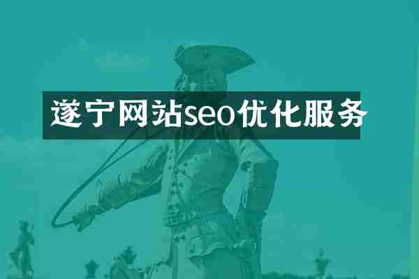 遂宁网站seo优化服务