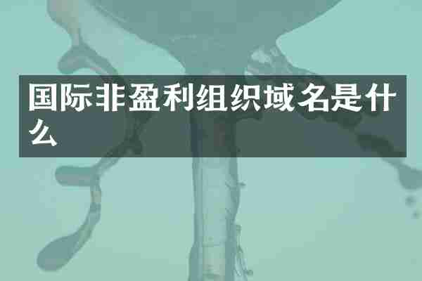 国际非盈利组织域名是什么