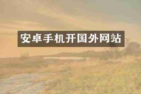 安卓手机开国外网站