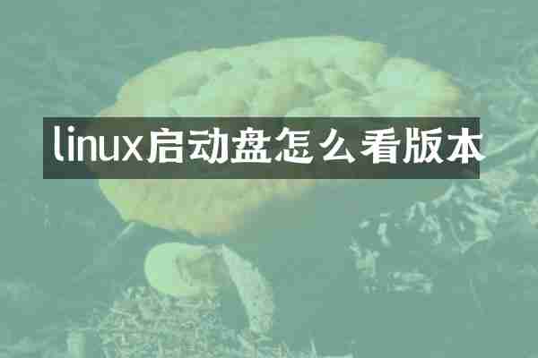 linux启动盘怎么看版本