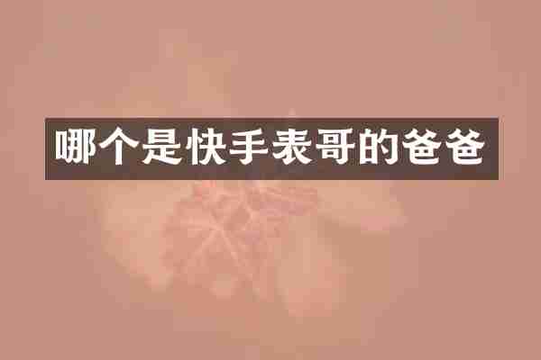 哪个是快手表哥的爸爸
