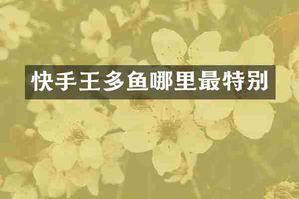 快手王多鱼哪里最特别