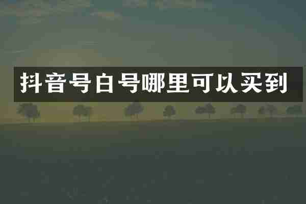 抖音号白号哪里可以买到