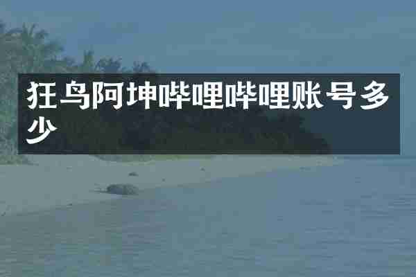 狂鸟阿坤哔哩哔哩账号多少