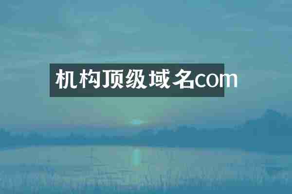 机构顶级域名com
