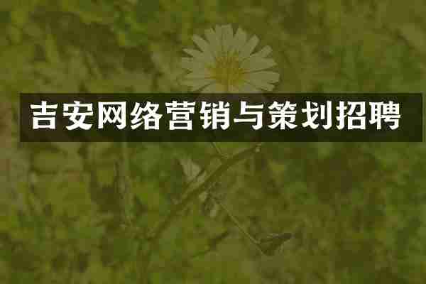 吉安网络营销与策划招聘