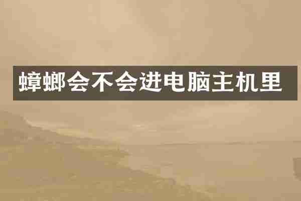蟑螂会不会进电脑主机里