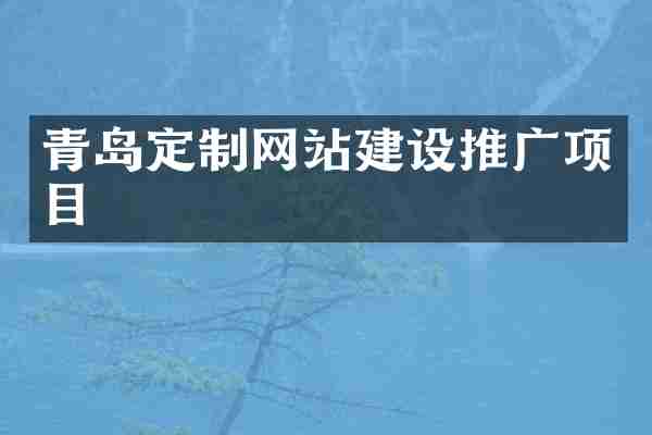 青岛定制网站建设推广项目