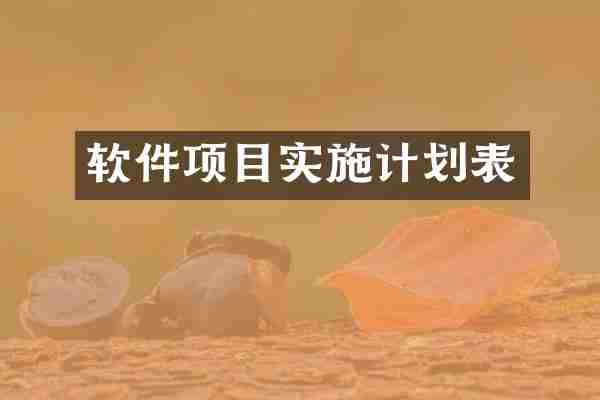 软件项目实施计划表