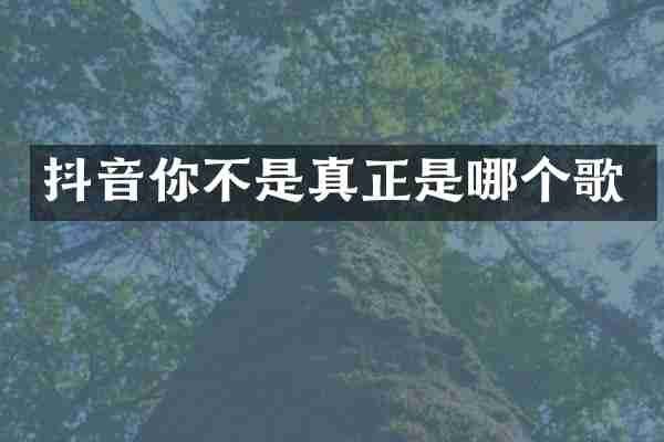 抖音你不是真正是哪个歌