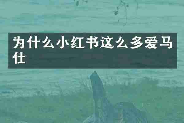 为什么小红书这么多爱马仕