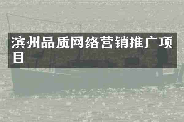 滨州品质网络营销推广项目
