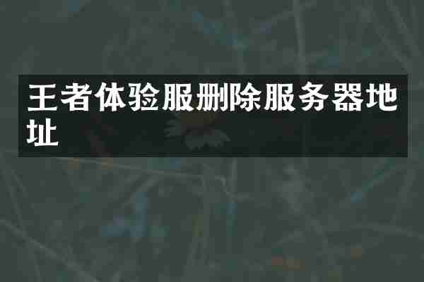 王者体验服删除服务器地址