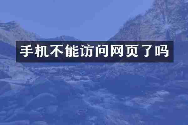 手机不能访问网页了吗