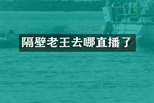 隔壁老王去哪直播了