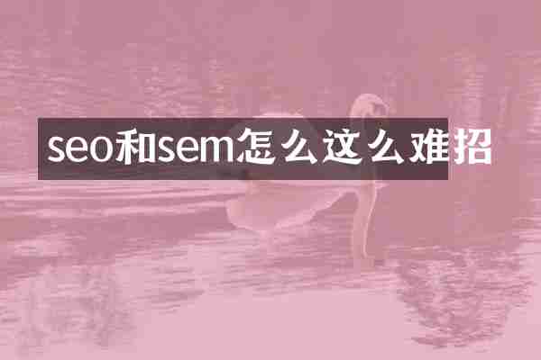 seo和sem怎么这么难招