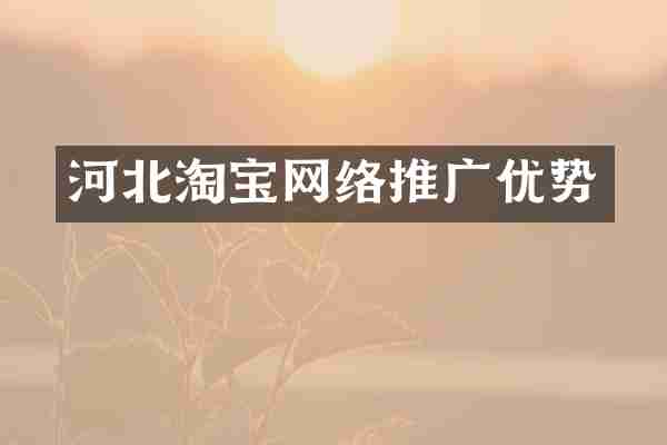河北淘宝网络推广优势