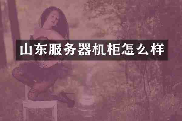 山东服务器机柜怎么样