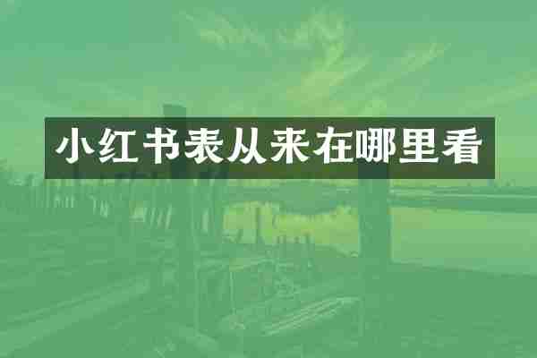 小红书表从来在哪里看
