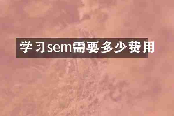 学习sem需要多少费用