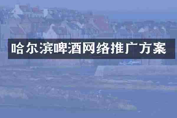 哈尔滨啤酒网络推广方案