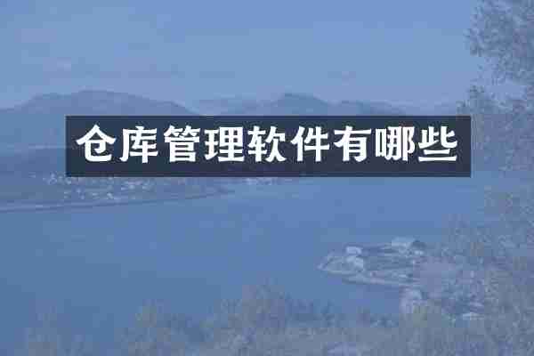 仓库管理软件有哪些